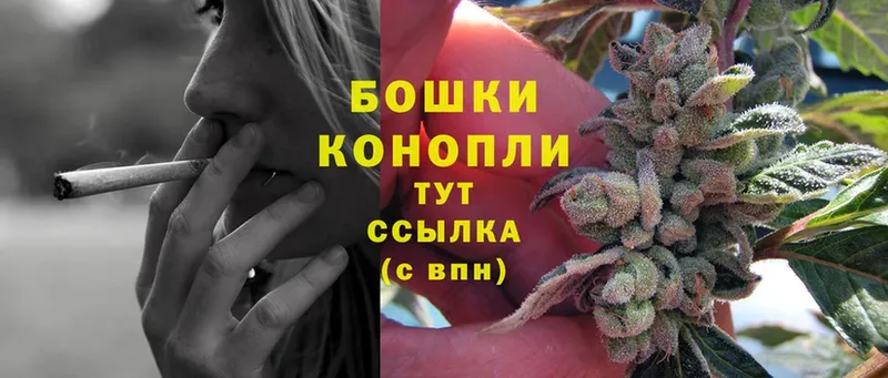 продажа наркотиков  ОМГ ОМГ tor  Бошки Шишки White Widow  Белёв 